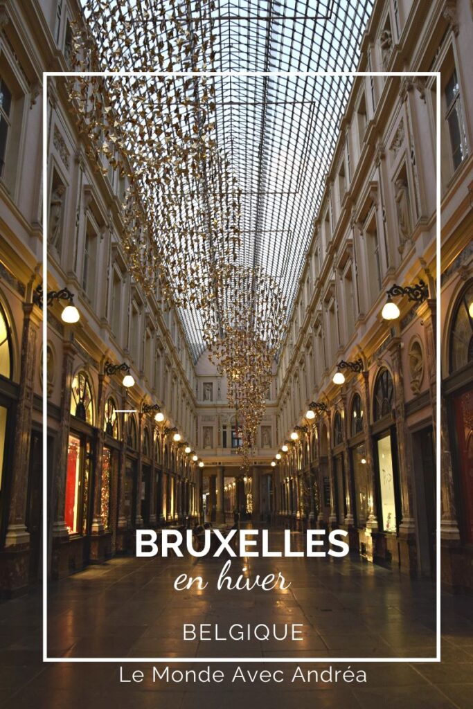 Bruxelles en hiver - article de blog voyage