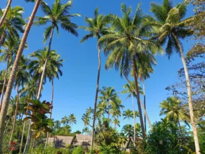 Fidji conseils pour un voyage petit budget