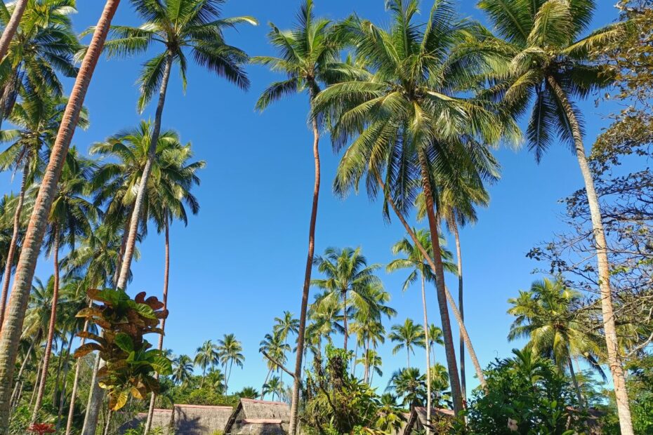 Fidji conseils pour un voyage petit budget