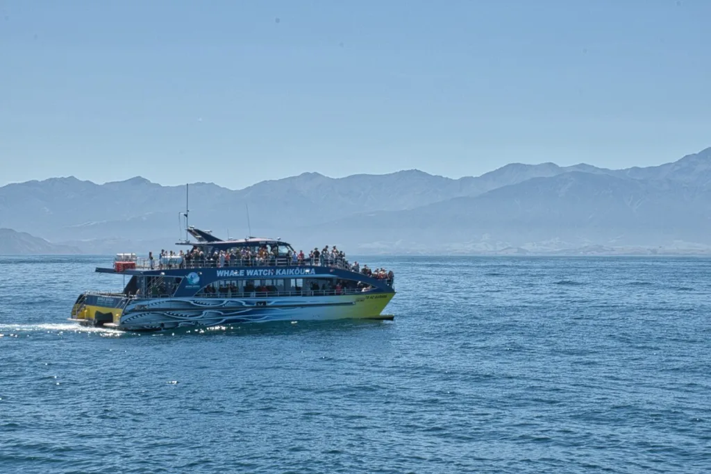 Bateau de Whale Watch Kaikoura - mon avis sur l'excursion