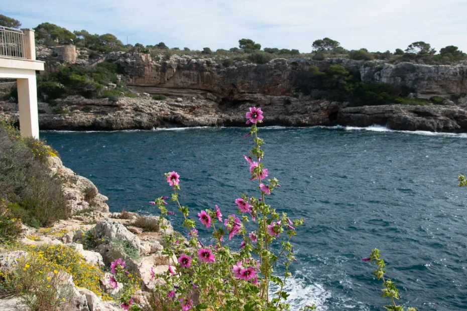 Visiter Cala Figuera en bus - vue depuis la falaise sur la mer méditérannée