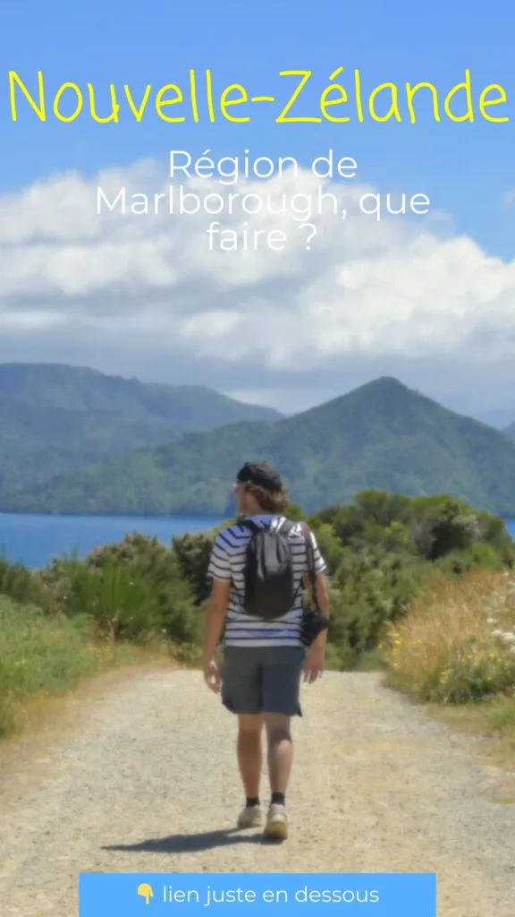Visiter la région dans les Marlborough - pinterest
