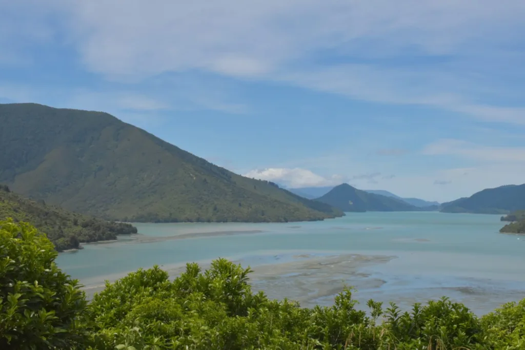 Point de vue sur la Queen Charlotte Drive - visiter les Marborough nouvelle-zélande