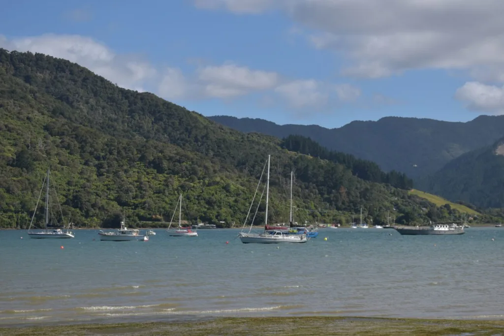 Plage dans la région des Marlborough - Voyage en Nouvelle-Zélande