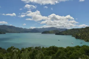 Que visiter dans les Marlborough, Nouvelle Zélande roadtrip