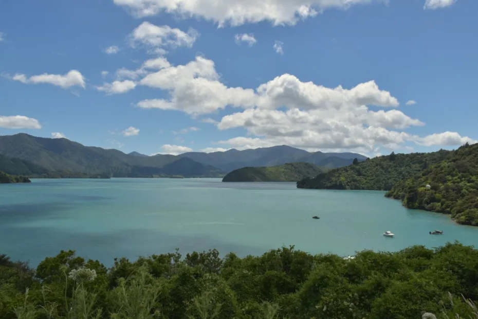 Que visiter dans les Marlborough, Nouvelle Zélande roadtrip