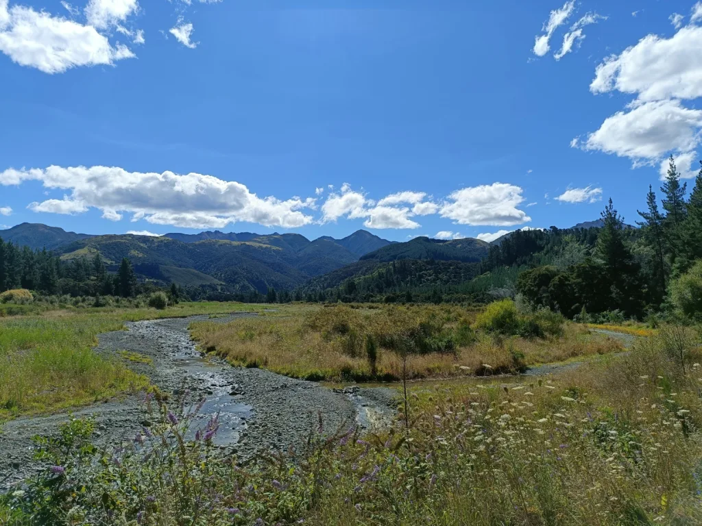 Que faire à Kaikoura ? 