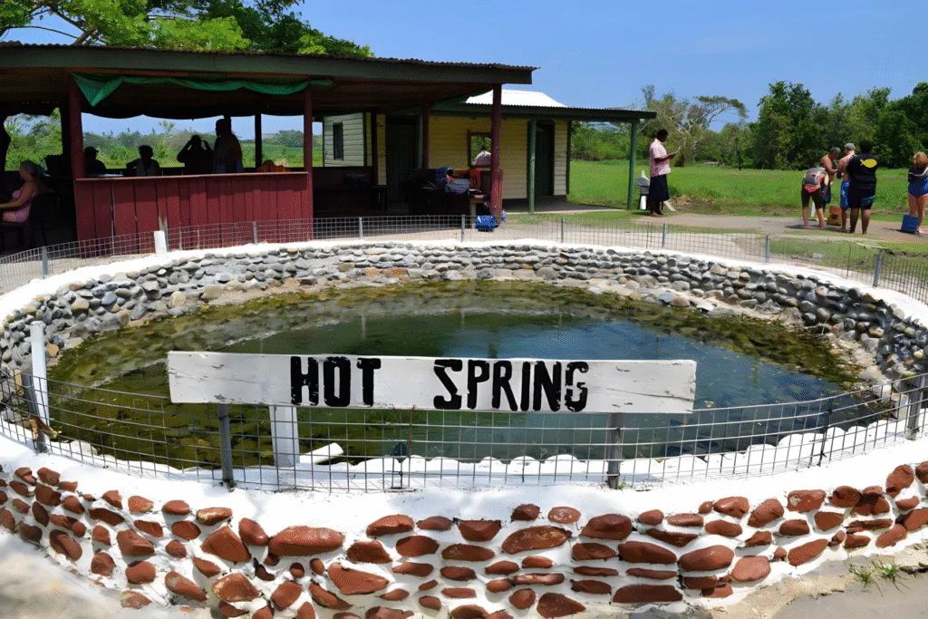 Visiter Nadi : activités à faire Mud pools