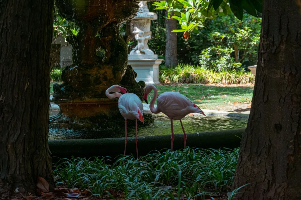 Free tour insolite à Milan - Flamands rose
