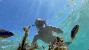 Faire du snorkeling aux fidji -blog voyage backpack