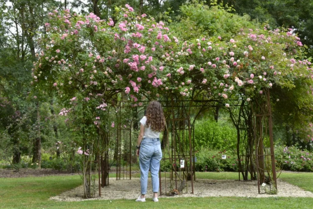 Que faire en un weekend à Saumur