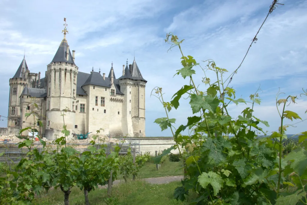 Visiter Saumur et son chateau - weekend dans les pays de la Loire - blog weekend en france