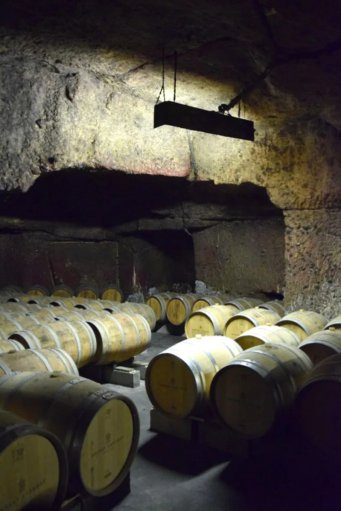 Visite d'une cave à vins à Saumur
