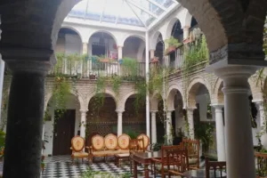 Hôtel de charme à Cordoue, style andalou, patio avec des plantes vertes