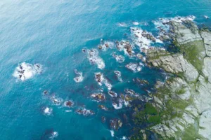 Que faire à Kaikoura pour visiter la ville