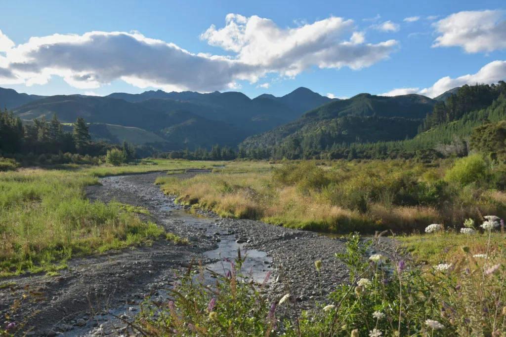Que faire à Kaikoura - promenade en nature